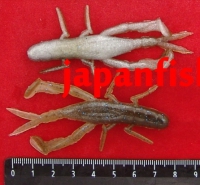 Jackall Dragon Bug 3" 7шт(2685)sk green