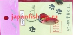 Eien 1.4g TW01