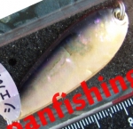 блесна Smith Pure Shell 9.5g 08BK/G